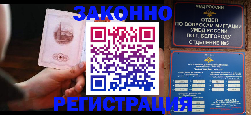 прописка 2025 в Калуге